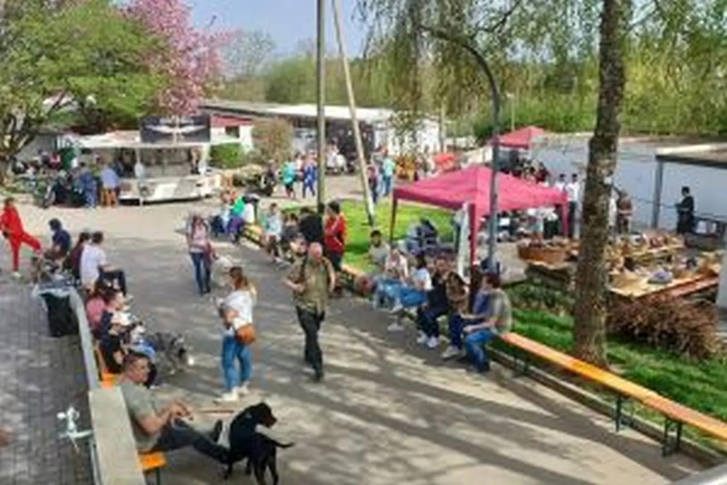 Frühlingsfest Tierheim 2024 von Tierschutzverein Pforzheim und Umgebung e.V 