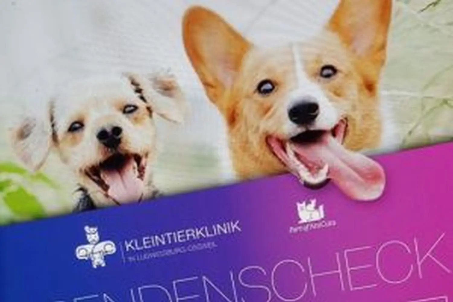 Spendenaktion Tierklinik Ludwigsburg von Tierschutzverein Pforzheim und Umgebung e.V  