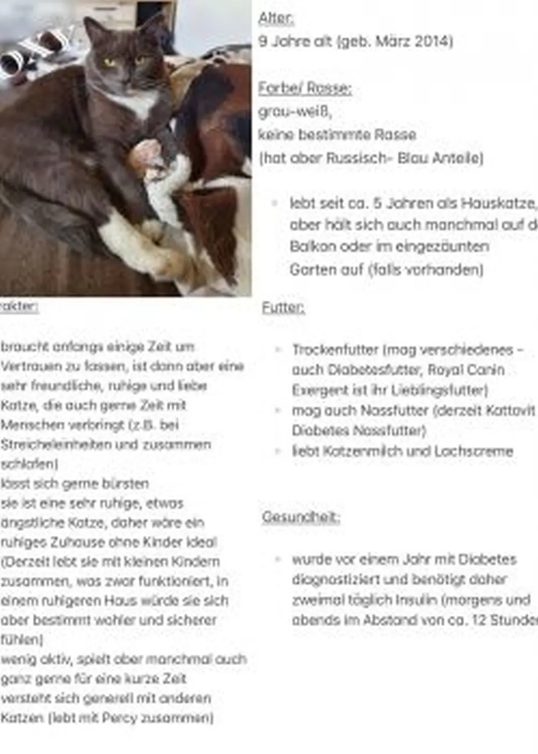 Infos zum Katze von Tierschutzverein Pforzheim und Umgebung e.V