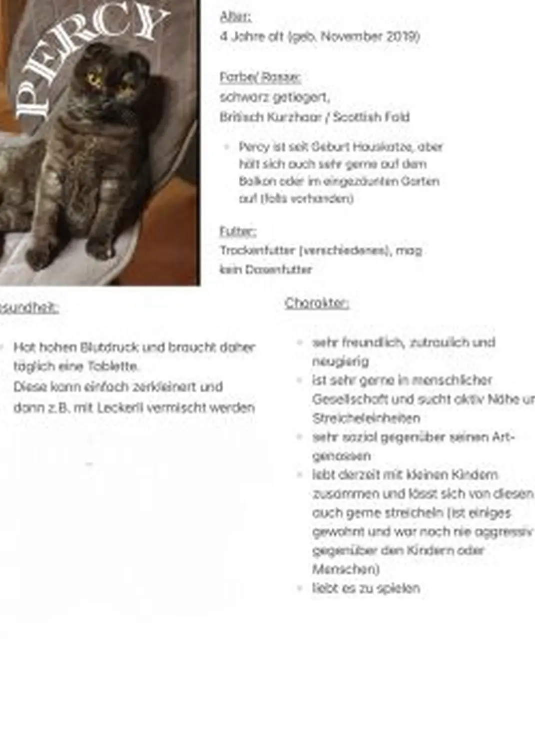 Infos zum Katze von Tierschutzverein Pforzheim und Umgebung e.V