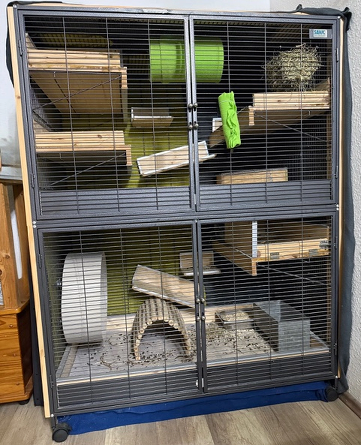 Hund von Tierschutzverein Pforzheim und Umgebung e.V