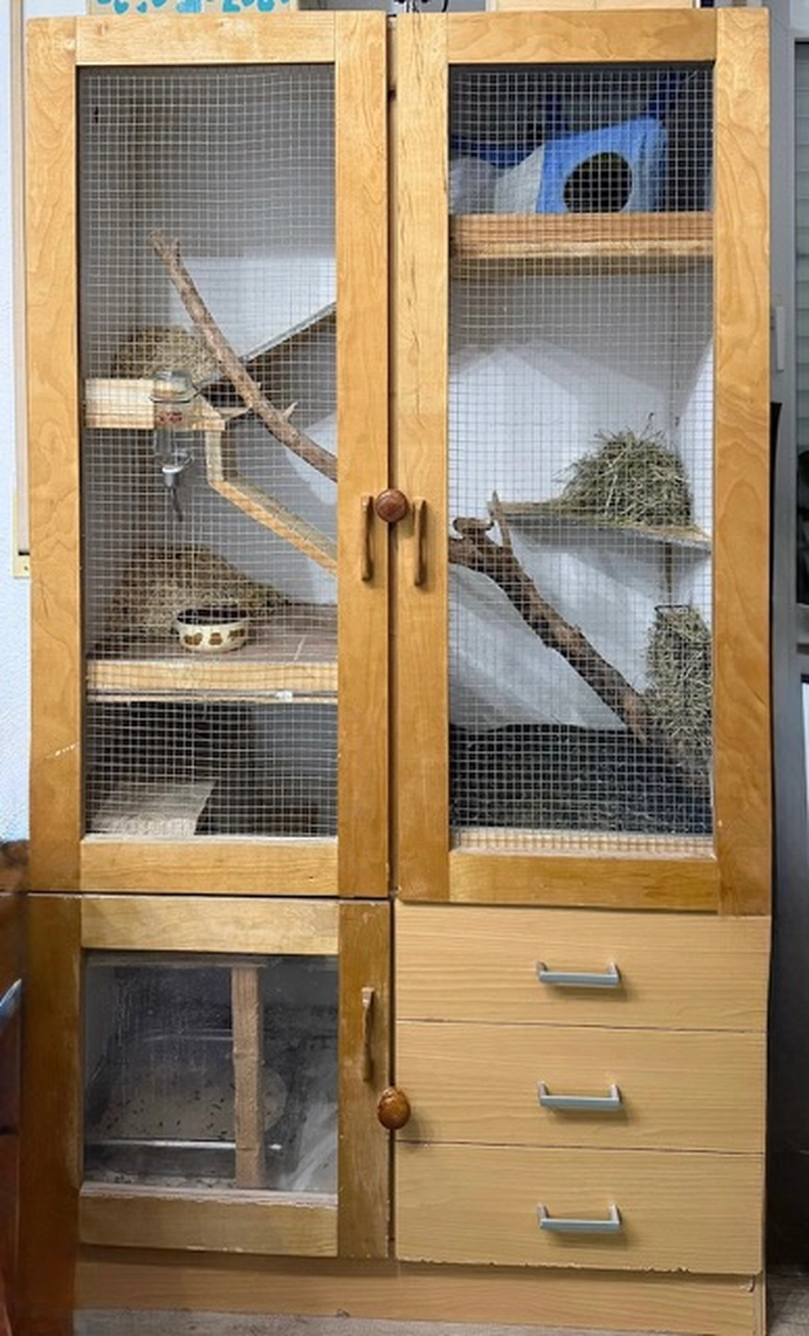 Hund von Tierschutzverein Pforzheim und Umgebung e.V